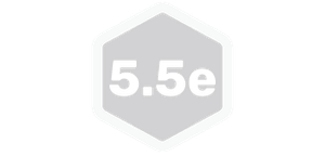 Dungeons & Dragons 5.5e